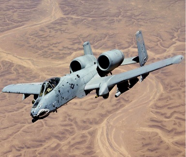 warthog